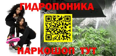 индика Можайск