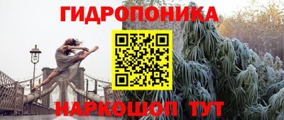 индика Можайск