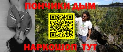 индика Можайск