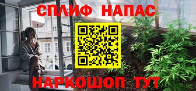 индика Можайск