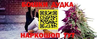 прущие крисы Моздок