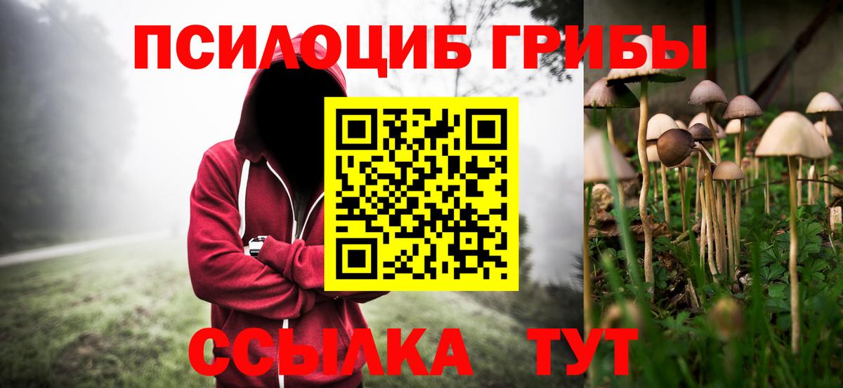 Анапа  Псилоцибиновые грибы Cubensis  Вход с VPN  Псилоцибиновые грибы GOLDEN TEACHER 
