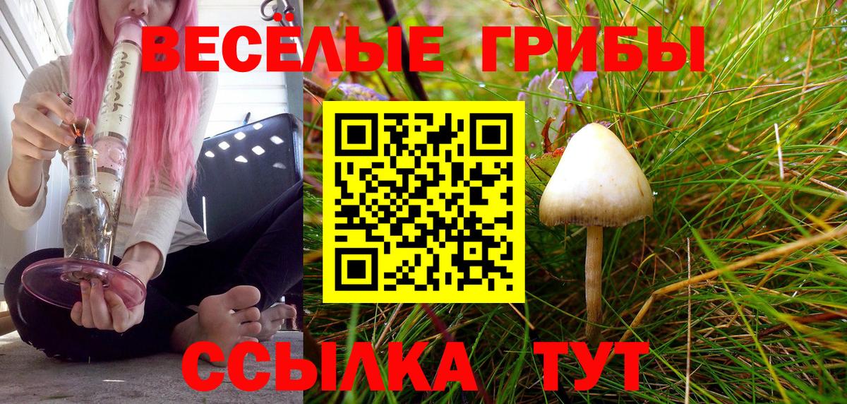 Галлюциногенные грибы MAGIC MUSHROOMS Анапа